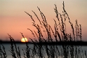 Sonnenuntergang Holland 6 - 2013 _SAM_1755 als Smart-Objekt-1 Kopie